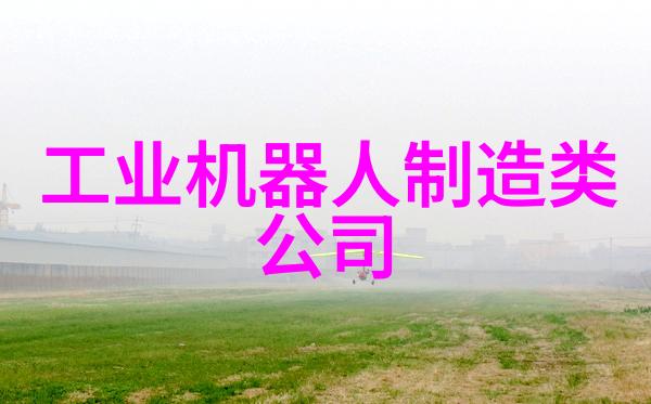 机器人可陪伴老人但老人不能只由它们陪伴